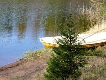 Фото номера Дом для отпуска Дома для отпуска Holiday Home Hirviharju г. Torsansalo 35